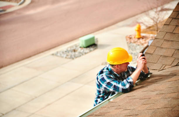 Best Roof Gutter Cleaning  in Carrollton, IL
