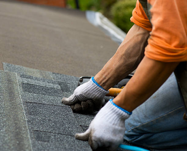 Best Roof Repair Services  in Carrollton, IL